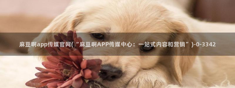 91麻豆传媒官网：麻豆啊app传媒官网(“麻豆啊APP传媒中心：一站式内容和营销”)