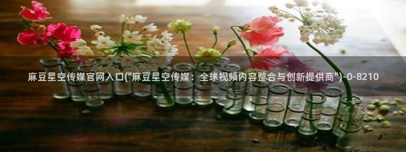 9 1麻豆传媒官网：麻豆星空传媒官网入口(\