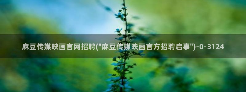 台湾麻豆传媒官网地址：麻豆传媒映画官网招聘(\