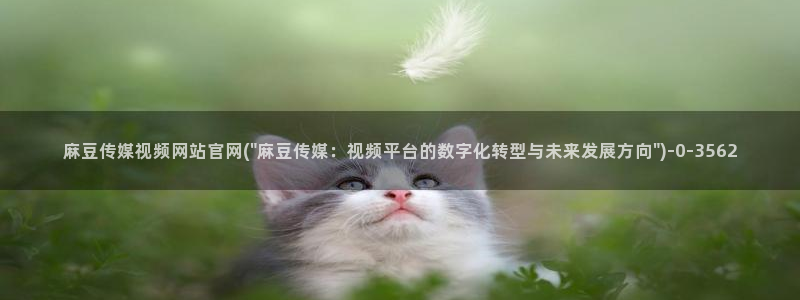 麻豆传媒官网是啥：麻豆传媒视频网站官网(\