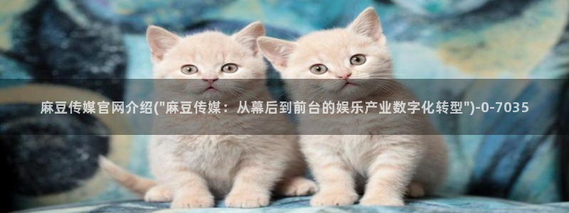 台湾麻豆传媒官网逍遥：麻豆传媒官网介绍(\