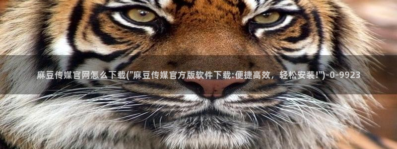 麻豆传媒直播官网苹果：麻豆传媒官网怎么下载(\