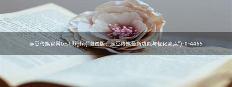 麻豆画精品传媒官网：麻豆传媒官网testflight(\