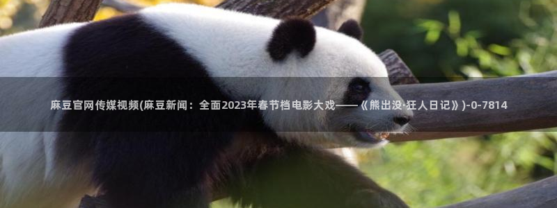 麻豆传媒国产剧情官网：麻豆官网传媒视频(麻豆新闻：全面2023年春节档电影大戏——《熊出没·狂人日记》)