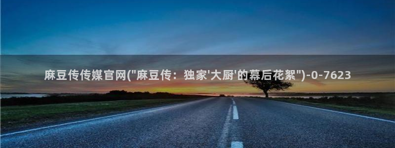 麻豆传媒官网还在吗：麻豆传传媒官网(\