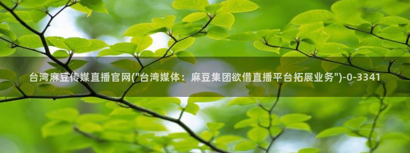 91麻豆传媒官网地址：台湾麻豆传媒直播官网(\