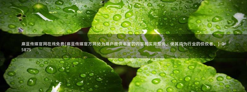 麻豆传媒官网在哪里：麻豆传媒官网在线免费(麻豆传媒官方网站为用户提供丰富的内容和实用服务，使其成为行业的佼佼者。)