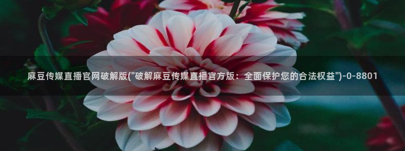 麻豆传媒印话官网：麻豆传媒直播官网破解版(\