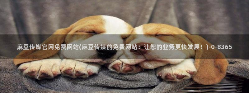 麻豆传媒官网观看：麻豆传媒官网免费网站(麻豆传媒的免费网站：让您的业务更快发展！)
