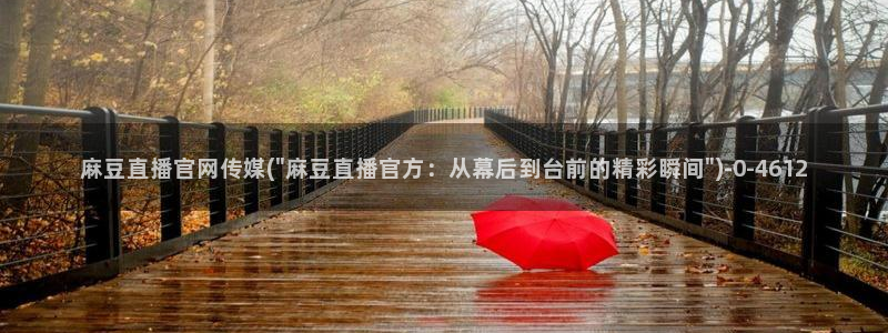 麻豆传媒官网软件：麻豆直播官网传媒(\