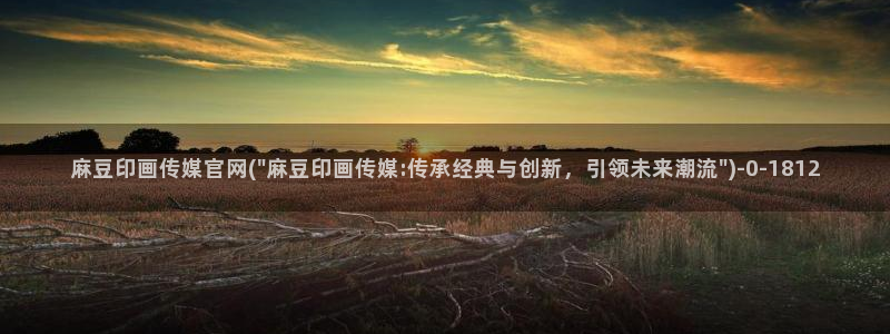 麻豆传媒官网兄妹：麻豆印画传媒官网(\