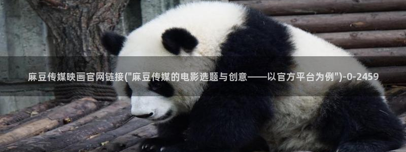 火辣麻豆传媒官网