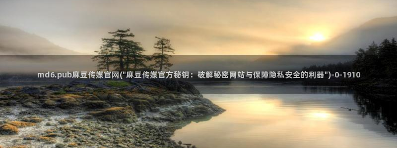 麻豆传媒app官网成人