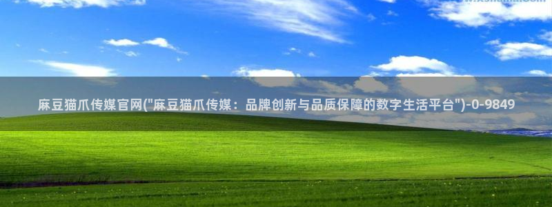 麻豆经济传媒台湾官网：麻豆猫爪传媒官网(\