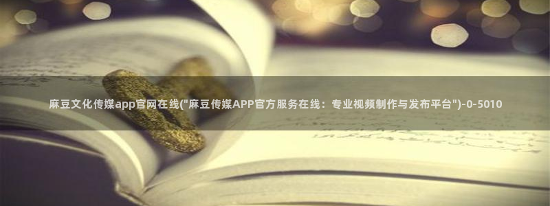 麻豆传媒官网贺岁