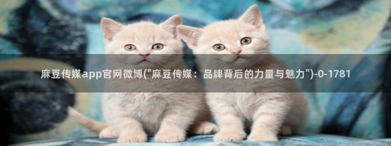 麻豆穿传媒官网