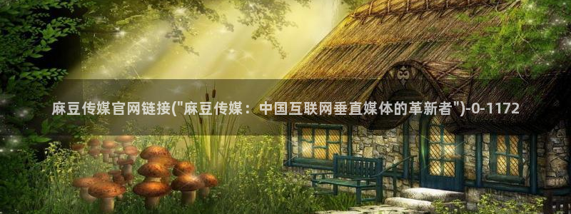 麻豆传媒91官网